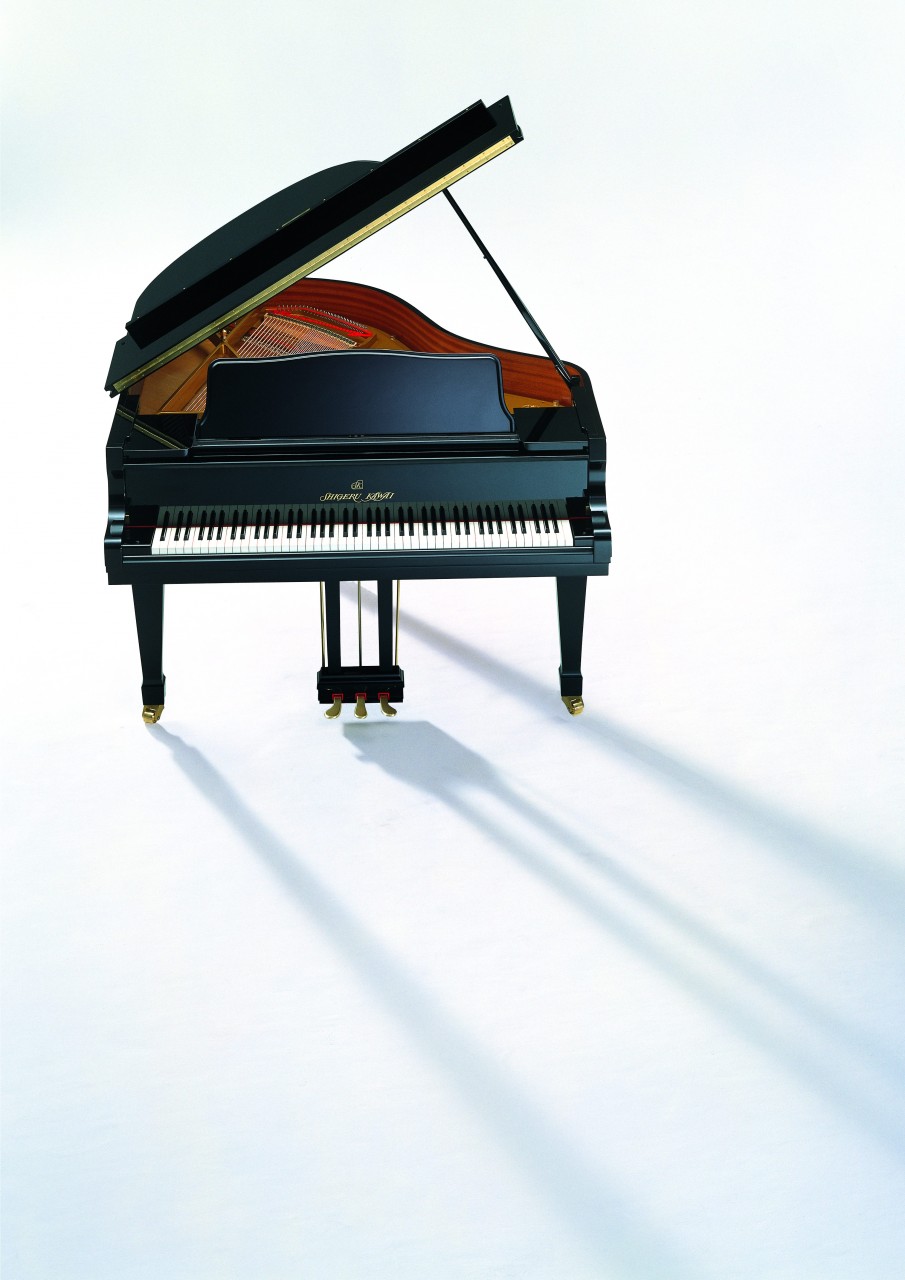 sk2_1_897